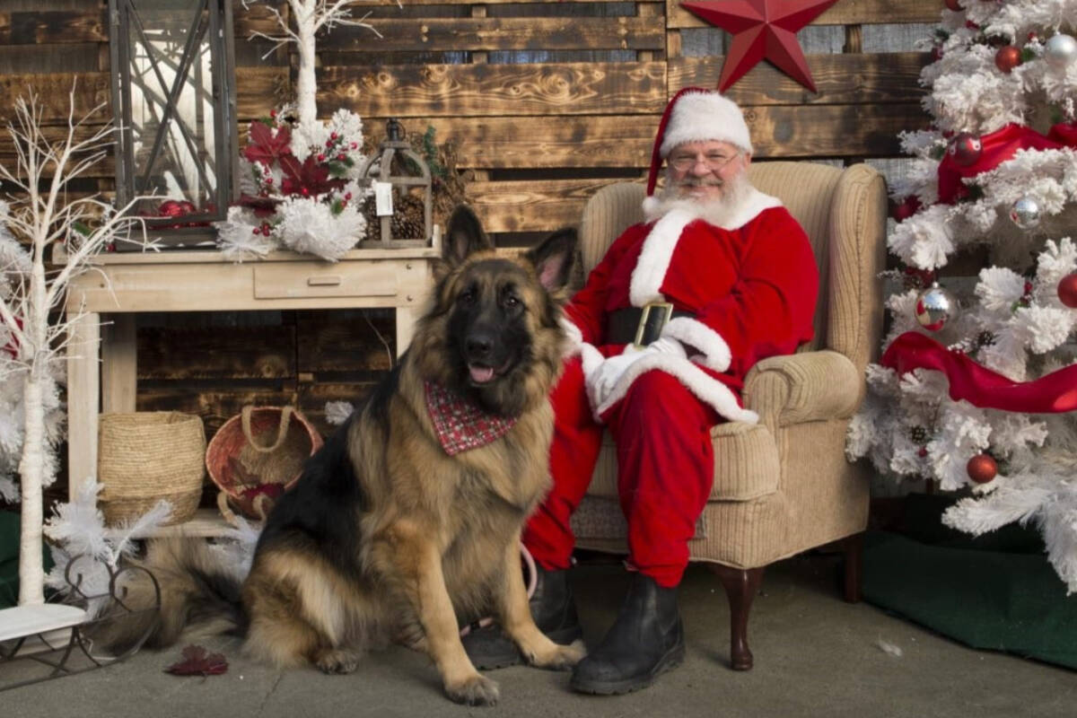 Abbotsford fundraiser gets pets into the holiday spirit