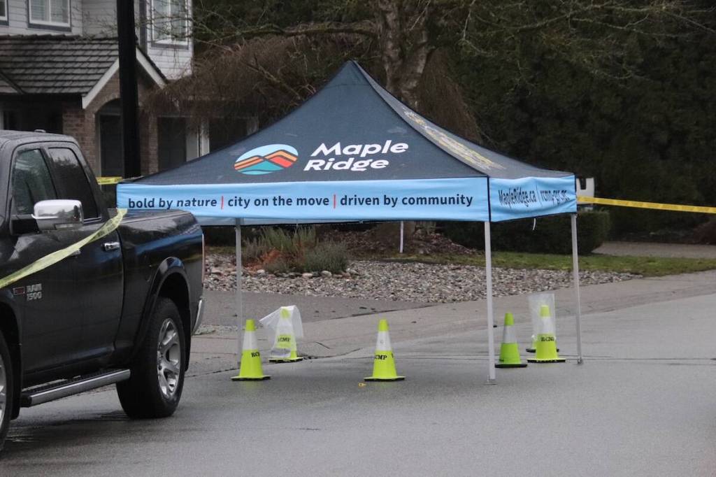 No injuries were reported in an early-morning shooting incident in Maple Ridge that also torched two vehicles parked in a residential neighbourhood.  (1st Due Media)