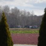 Emergency vehicles on scene at the plane crash site in Burns Bog. (Curtis Kreklau/Contributed to Black Press Media)